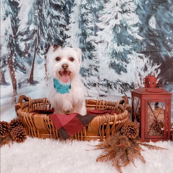 Meet your Posher, Becca - Picture 2 of 2